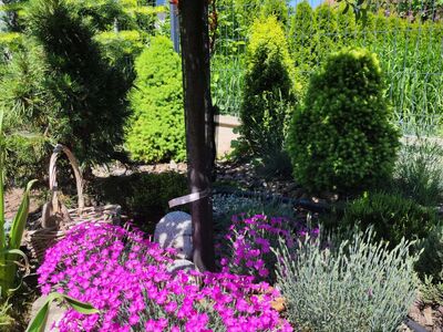 mieszkania - 97,23 m² - Bielsko-Biała